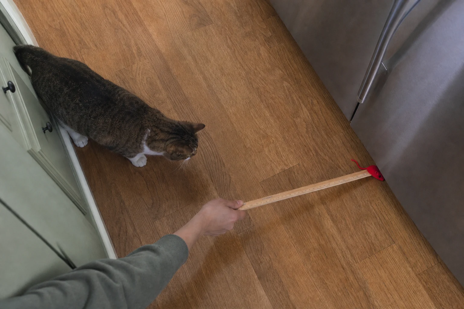 A hand uses a flat wooden yardstick to retrieve a red mouse toy while a tabby-and-white cat waits back from the refrigerator